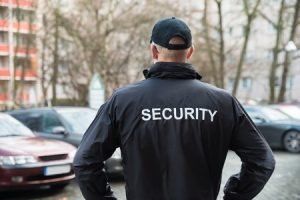 Outdoor Event Security